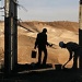 Settlement Construction in the West Bank